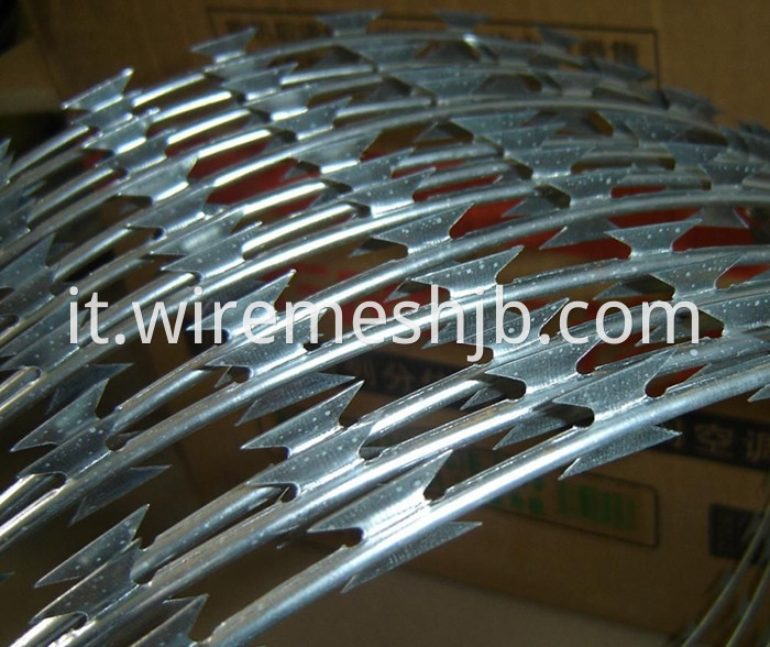 Hot-dip Galvanized Razor Wire